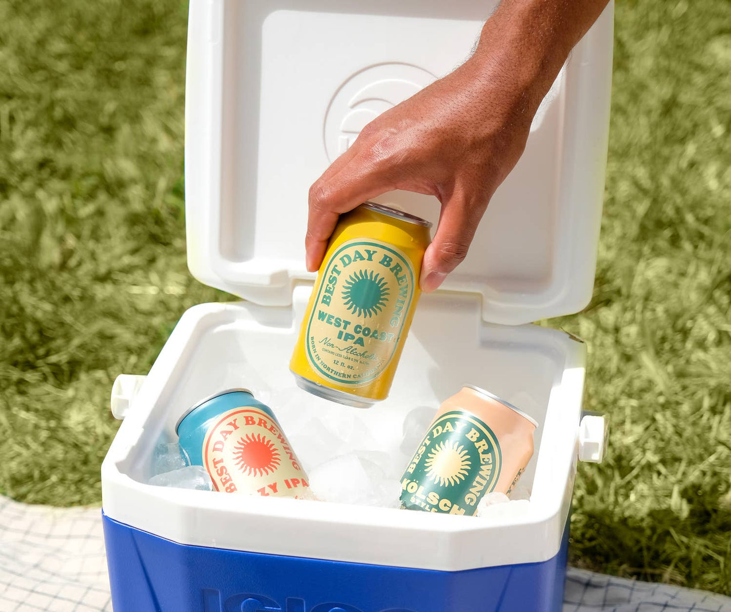 West Coast IPA (NA Beer)