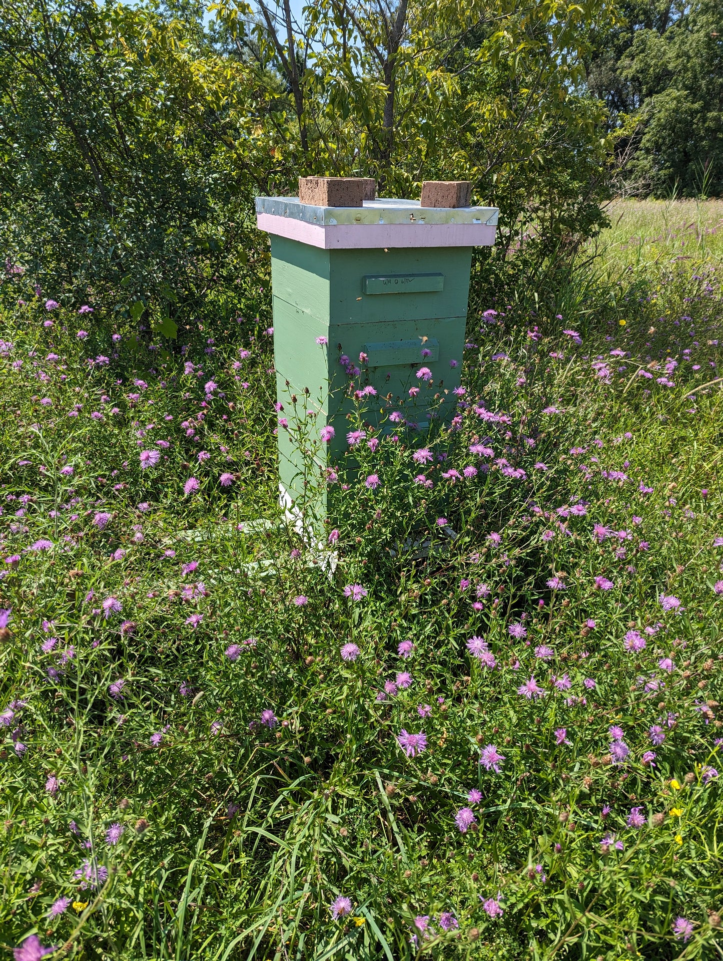 Clinton Local Honey