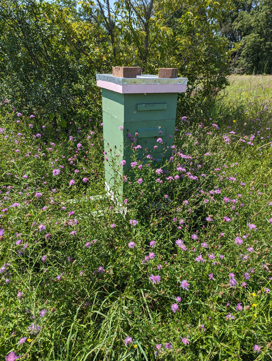 Clinton Local Honey