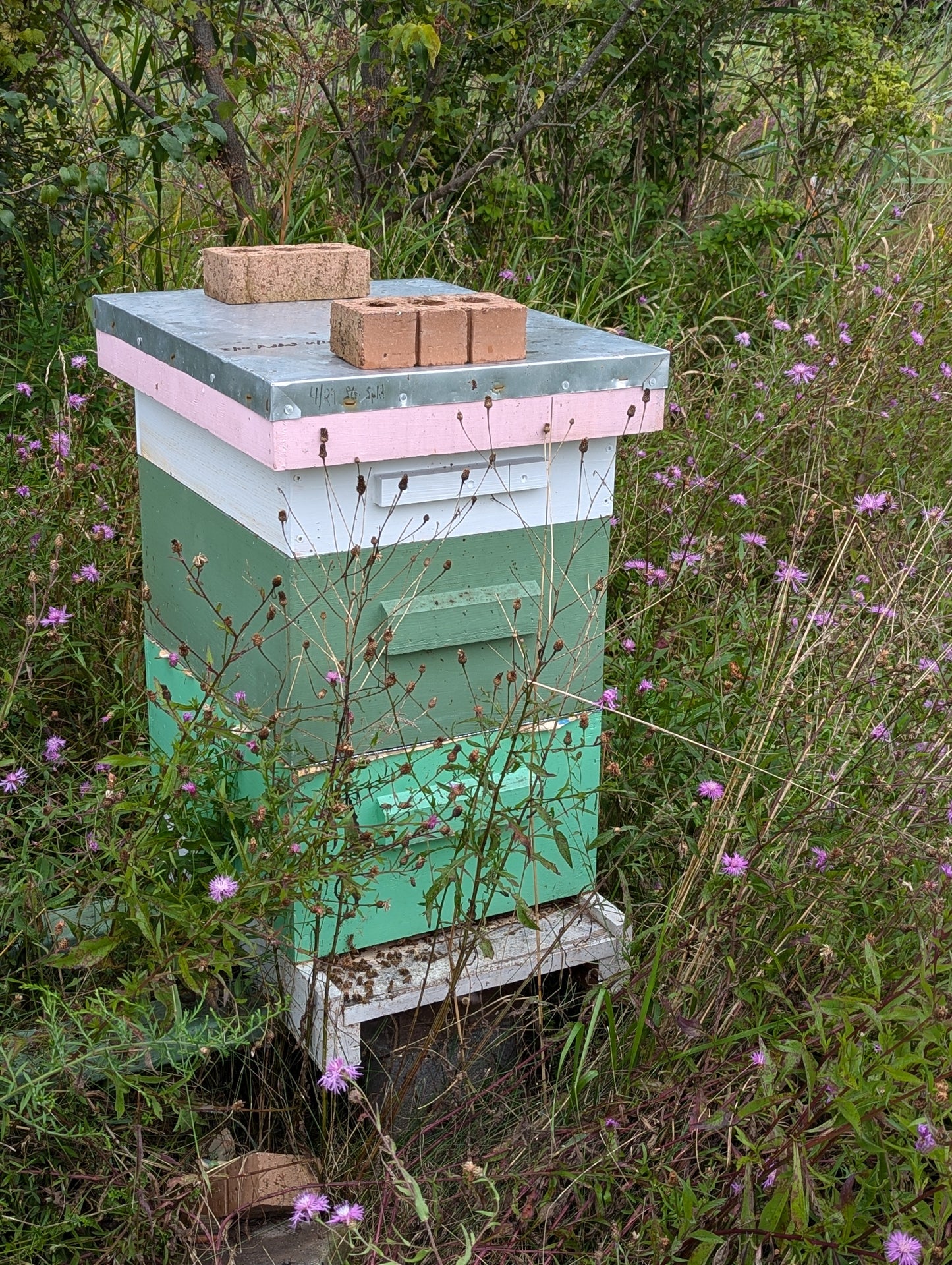 Clinton Local Honey